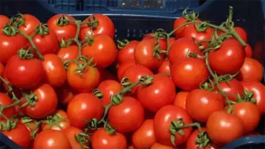 Her gün kahvaltıda tüketiyoruz: Resmen zehirliyor!