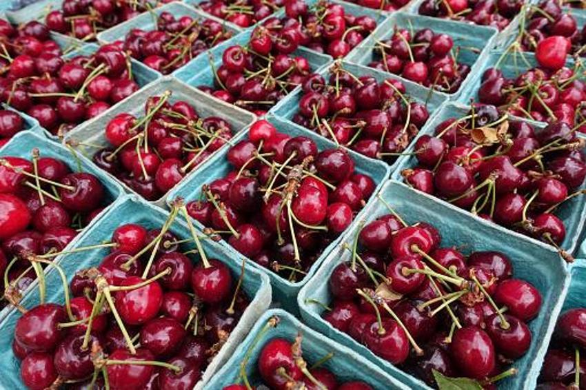 Kilosu 50 TL'den satılıyor! Çiftçinin yüzü gülüyor
