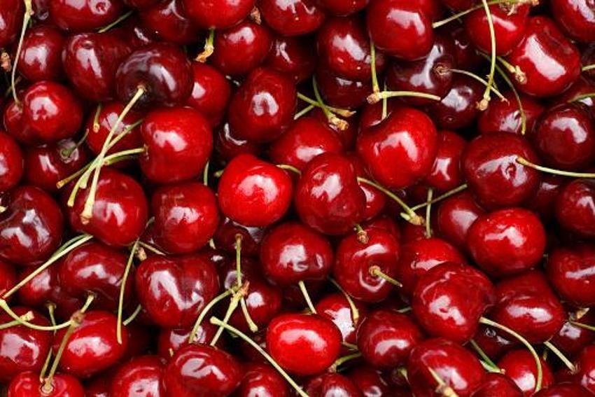 Kilosu 50 TL'den satılıyor! Çiftçinin yüzü gülüyor