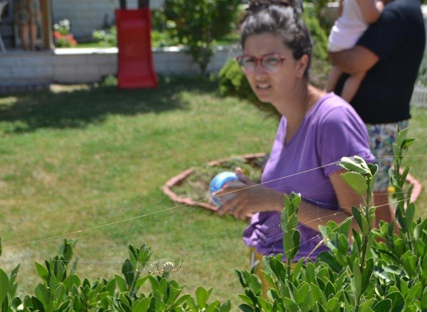 Dünyanın en zehirli örümceği Ayvalık’ta yakalandı!