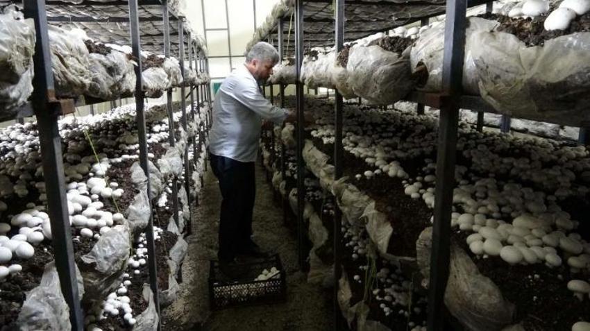 Bu işe başladı, 2 ayda servet kazandı! Kurduğu çadırdan Türkiye'ye satış yapıyor!