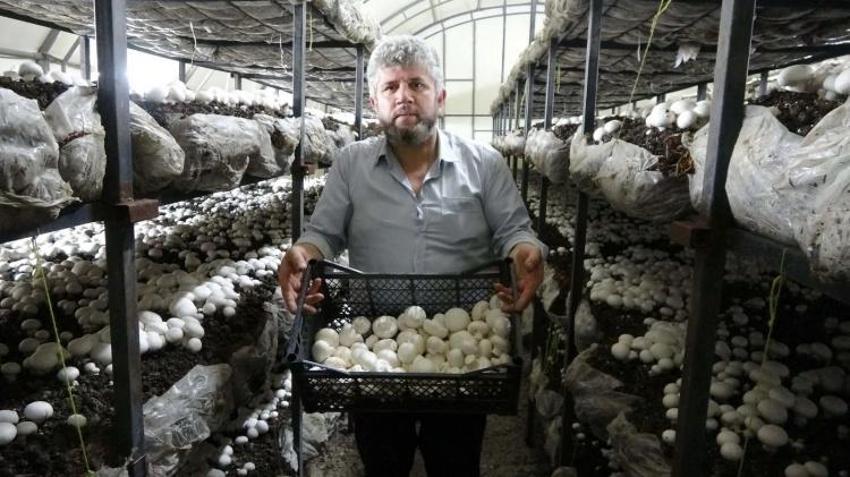 Bu işe başladı, 2 ayda servet kazandı! Kurduğu çadırdan Türkiye'ye satış yapıyor!