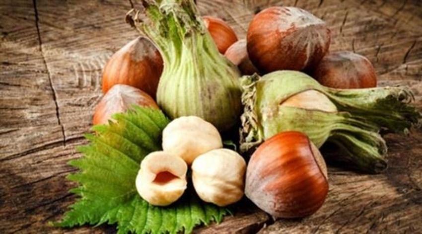 Fındık kabuğunun çayı şifa dağıtıyor! Fındık kabuğu çayı nasıl yapılır?