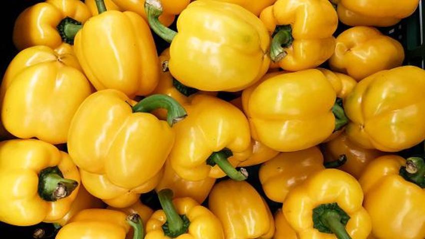 Vitamin depolarını ağzına kadar dolduruyor! İşte süper besinler