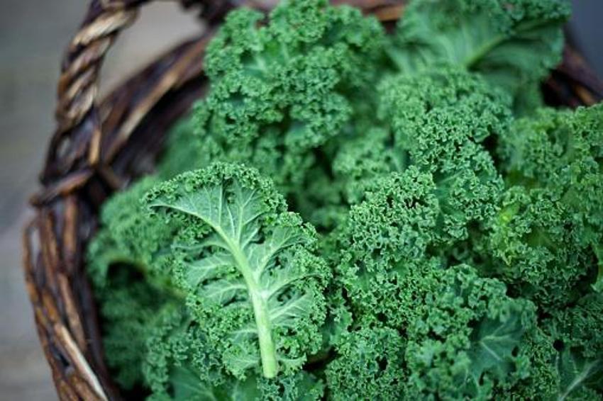 Vitamin depolarını ağzına kadar dolduruyor! İşte süper besinler