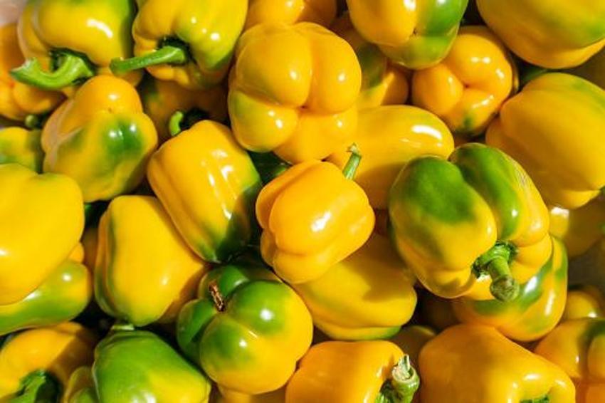 Vitamin depolarını ağzına kadar dolduruyor! İşte süper besinler