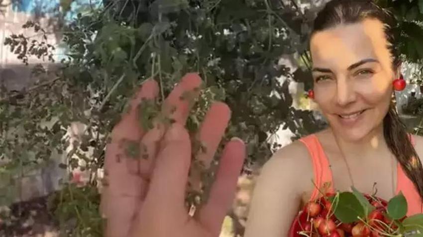 Ünlüler İstanbul'dan tasını tarağını toplayıp kaçıyor! Usta oyuncu, 'Ailem ve benim için en doğru karar' diyerek duyurdu