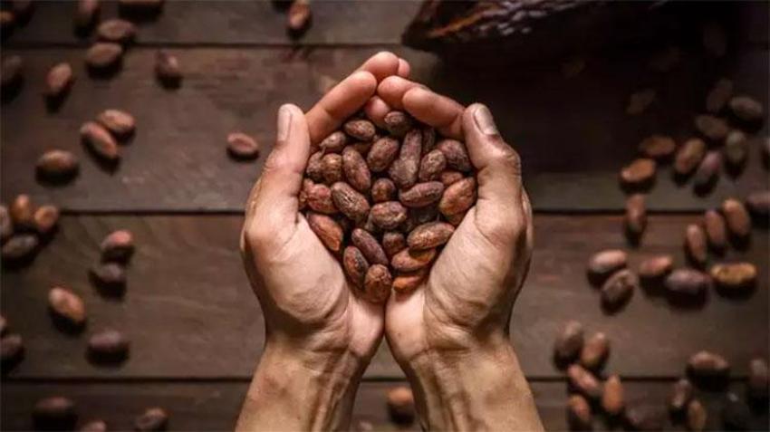 Dünyanın en yaşlı insanı uzun yaşamın sırrını verdi: O yiyeceği bol bol tüketin