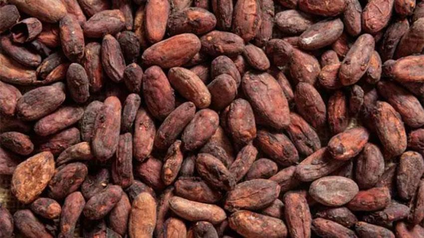 Dünyanın en yaşlı insanı uzun yaşamın sırrını verdi: O yiyeceği bol bol tüketin