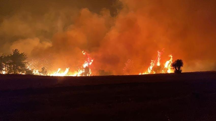 Çanakkale'de orman yangıyla mücadele sürüyor! Bakan Yumaklı son durumu açıkladı