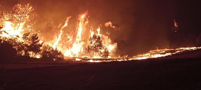 Çanakkale'de orman yangıyla mücadele sürüyor! Bakan Yumaklı son durumu açıkladı