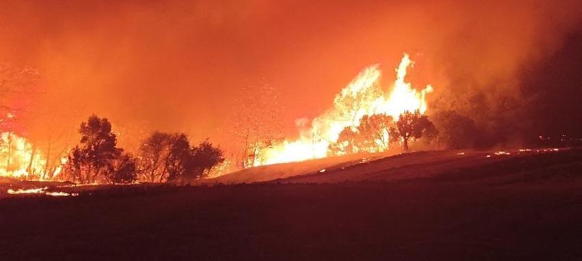 Çanakkale'de orman yangıyla mücadele sürüyor! Bakan Yumaklı son durumu açıkladı