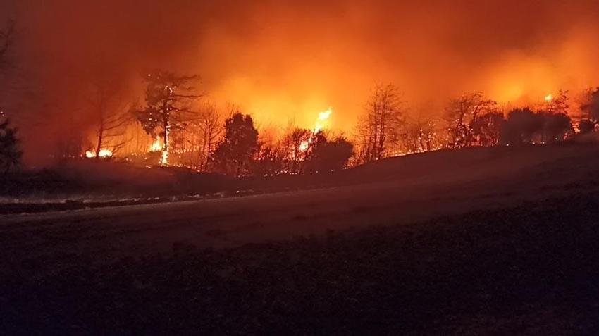 Çanakkale'de orman yangıyla mücadele sürüyor! Bakan Yumaklı son durumu açıkladı