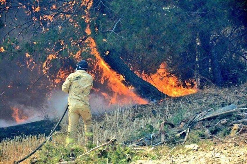 Çanakkale orman yangını söndürüldü mü, son durum ne? Orman yangını ne durumda, Çanakkale yangını hangi bölgelerde devam ediyor, söndü mü? 