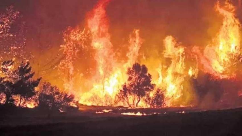 Çanakkale orman yangını söndürüldü mü, son durum ne? Orman yangını ne durumda, Çanakkale yangını hangi bölgelerde devam ediyor, söndü mü? 