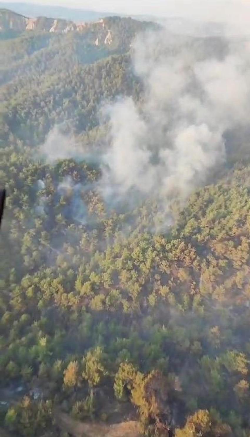 Çanakkale'de orman yangıyla mücadele sürüyor! Bakan Yumaklı son durumu açıkladı