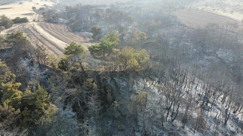 Çanakkale'de orman yangıyla mücadele sürüyor! Bakan Yumaklı son durumu açıkladı