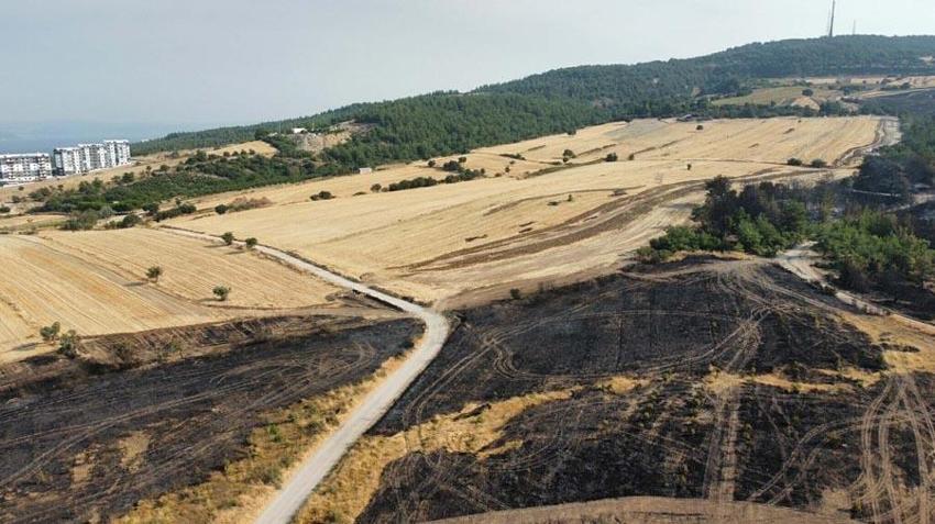 Çanakkale'de orman yangıyla mücadele sürüyor! Bakan Yumaklı son durumu açıkladı