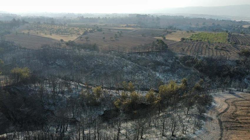 Çanakkale'de orman yangıyla mücadele sürüyor! Bakan Yumaklı son durumu açıkladı