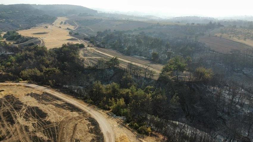 Çanakkale'de orman yangıyla mücadele sürüyor! Bakan Yumaklı son durumu açıkladı