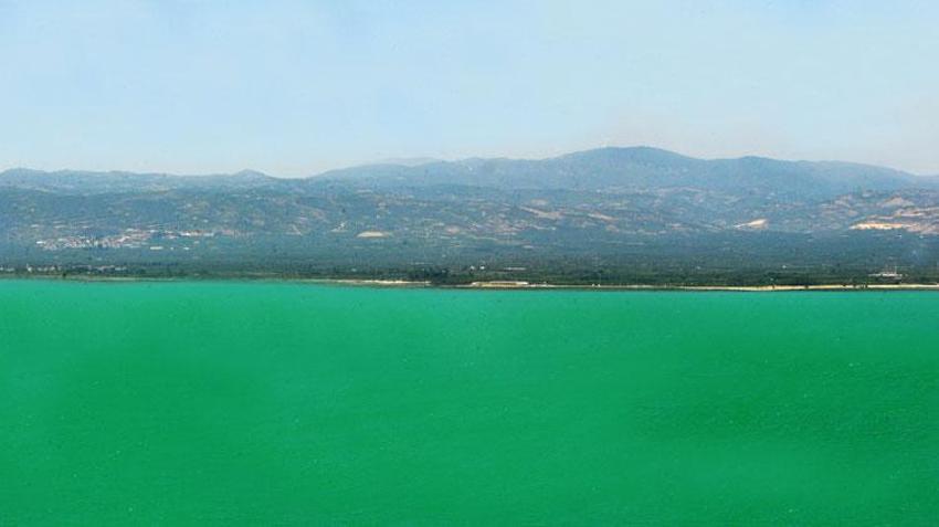 Marmara'nın en büyük gölü turkuaz renge büründü! İznik Gölü'nde siyanobakteri artışı...