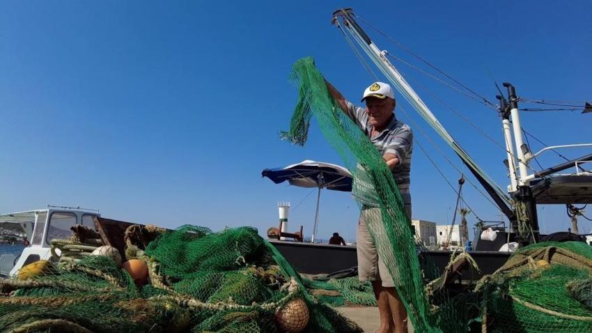 Balık sezonu açılıyor! Av yasağı kalkıyor: Balık bol olacak, fiyatlar düşecek