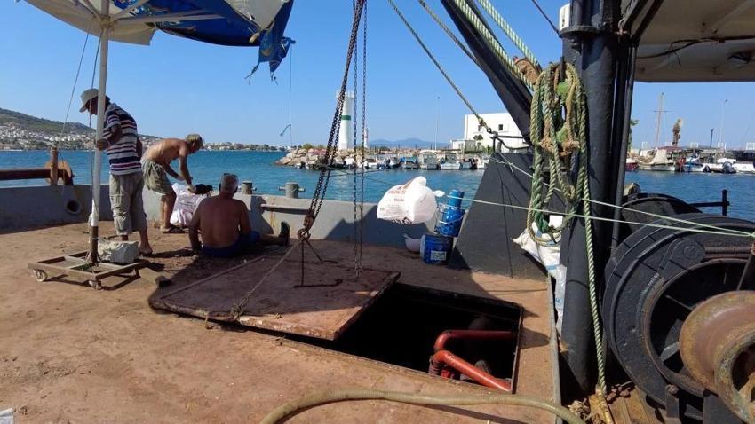 Balık sezonu açılıyor! Av yasağı kalkıyor: Balık bol olacak, fiyatlar düşecek
