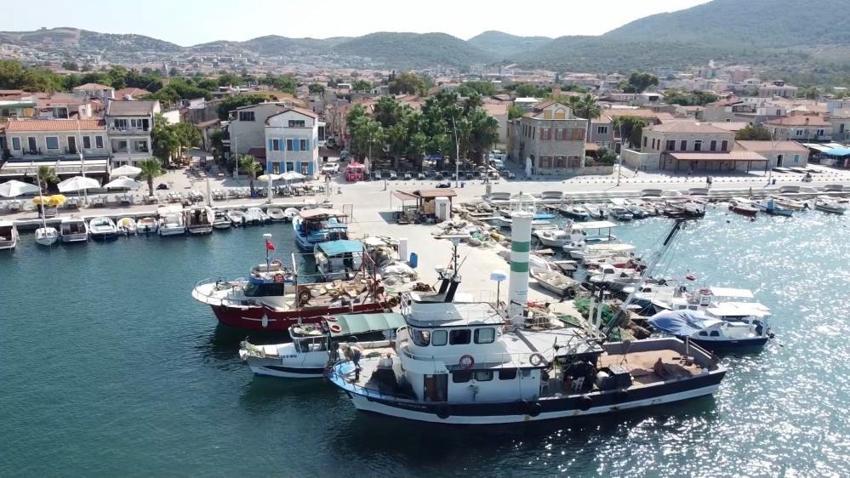 Balık sezonu açılıyor! Av yasağı kalkıyor: Balık bol olacak, fiyatlar düşecek
