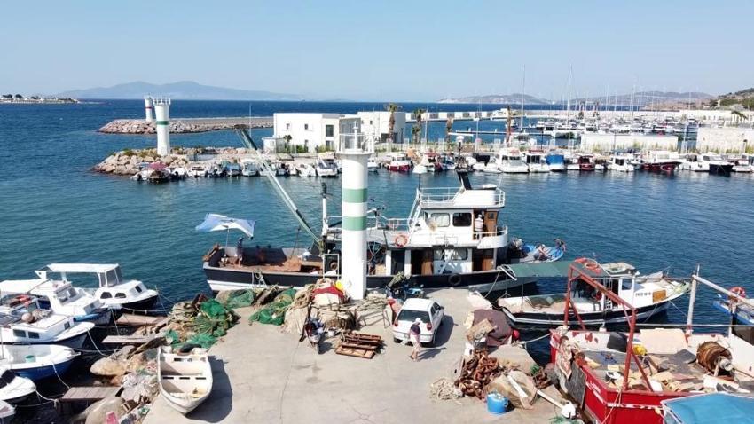 Balık sezonu açılıyor! Av yasağı kalkıyor: Balık bol olacak, fiyatlar düşecek