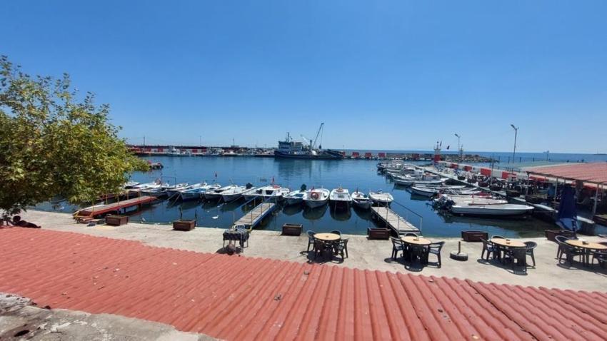 Balık sezonu açılıyor! Av yasağı kalkıyor: Balık bol olacak, fiyatlar düşecek