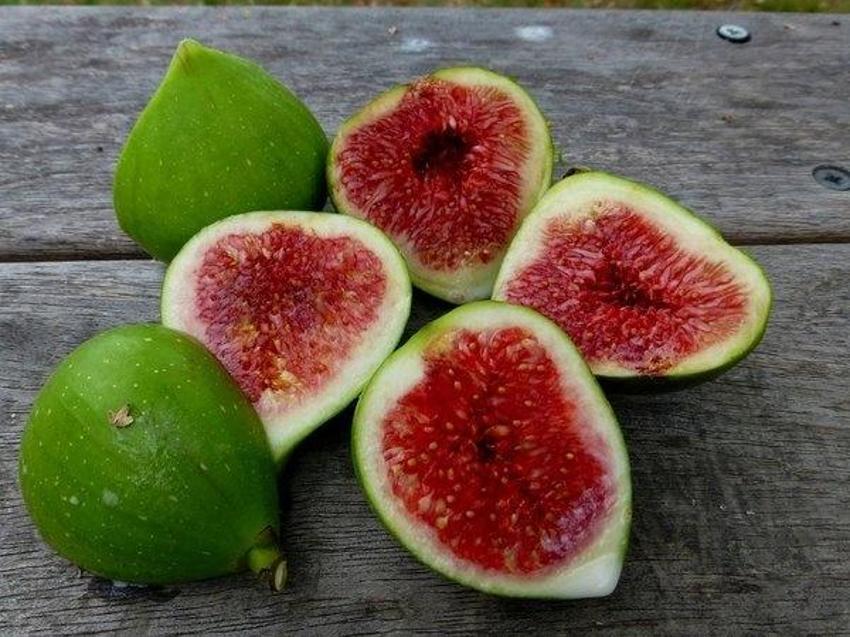 İbn-i Sina ilk bu tarifi keşfetti! Bu karışım vücudu yeni baştan düzenliyor! Hastalıkları bitiren kür...
