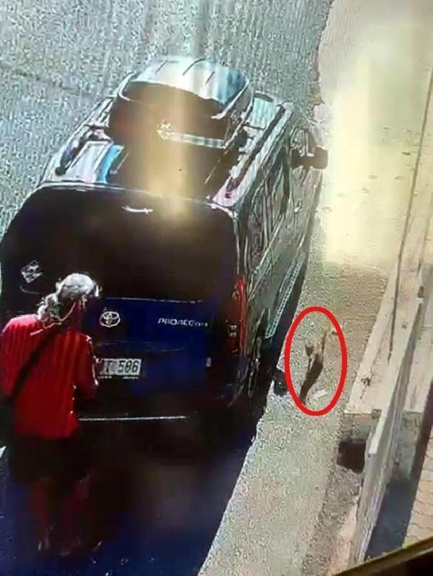 Kedi, aracın camını tek hamleyle kırıp kaçtı!