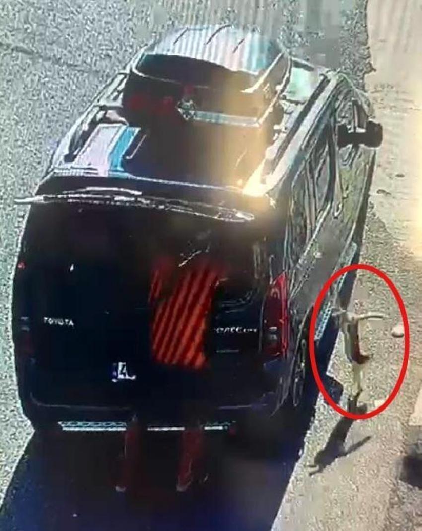 Kedi, aracın camını tek hamleyle kırıp kaçtı!
