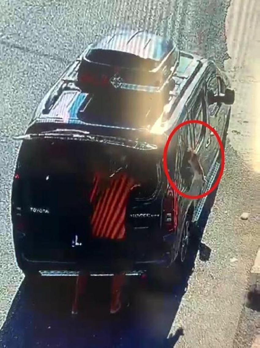 Kedi, aracın camını tek hamleyle kırıp kaçtı!