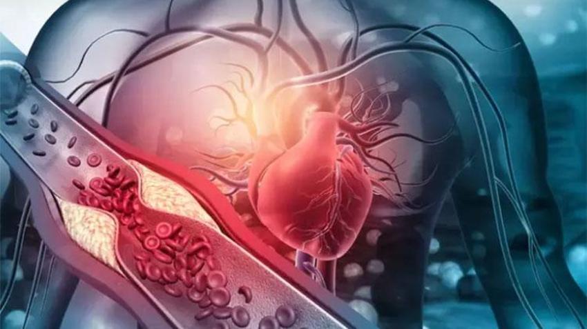 Canan Karatay yıllar önce önerdi: Ömrü uzatıyor yemeklerin lezzetini 10'a katlıyor