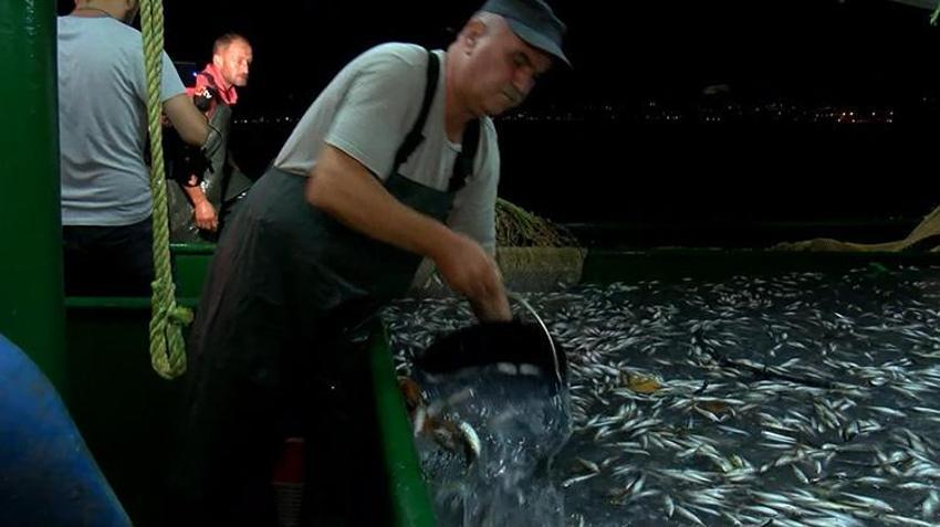 Yasak bitti! 'Bu sene halkımız balığa doyacak'