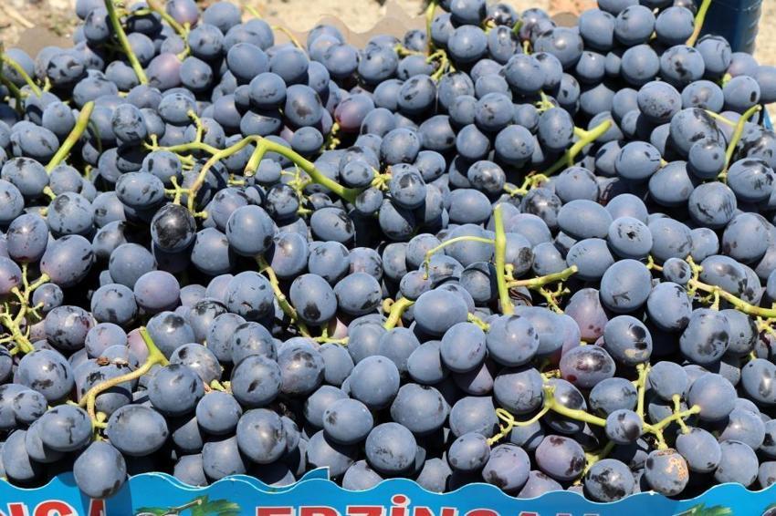 Kilosu 50 TL! 200 yıldır üretiliyor, hasat başladı
