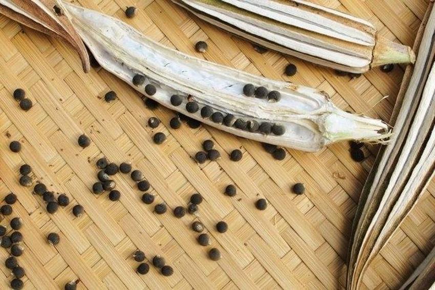 Yoğurtla karıştır ya da kahvesini yap! Kalbi saat gibi çalıştırıyor, sindirimi yağ gibi yapıyor! Zayıflamak isteyene...