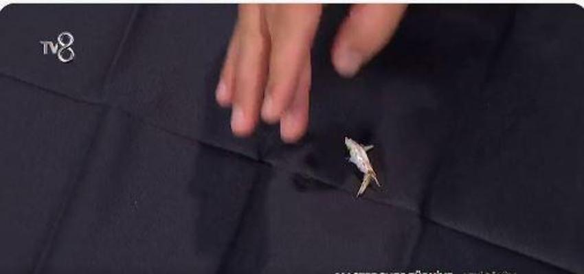 Dilara Sergen'in çırağı olurmuş! MasterChef All Star'da bir takım huzurevi bir diğeri yangın yeri