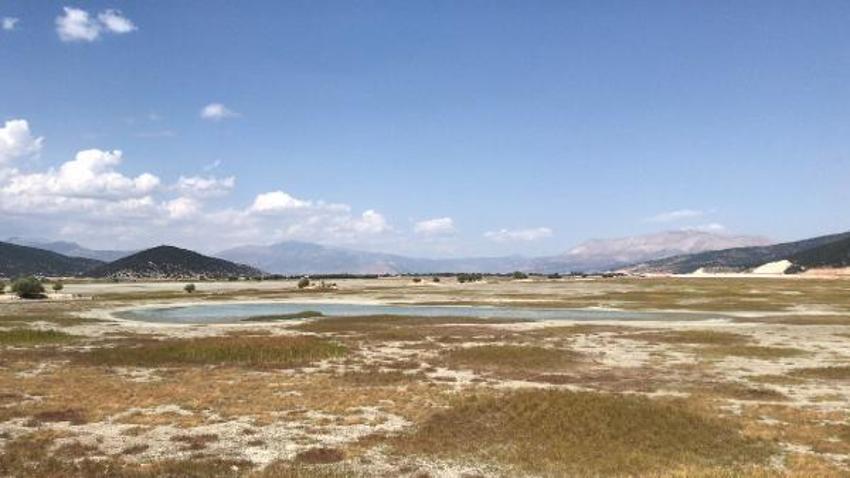 Antalya'dan üzen görüntüler... 'Kuşlar gidiyor, balıklar ölüyor'