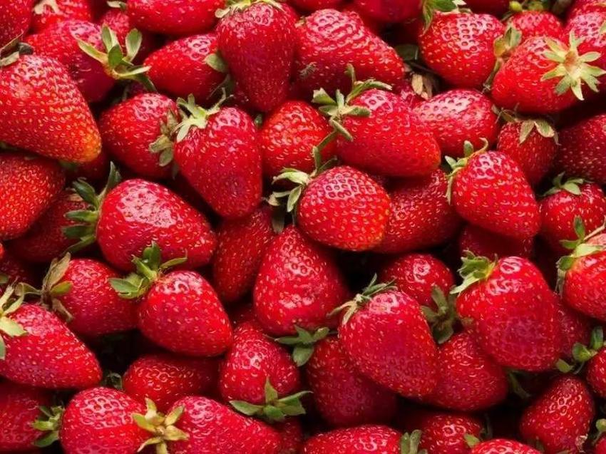 Açlık krizini önlüyor, yağ yakımını hızlandırıyor! Zor kilo verenler için bulunmaz nimet, etkili çare