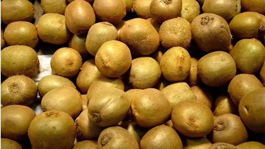 Prof. Dr. Canan Karatay 10 yaş gençleştiren besini açıkladı!
