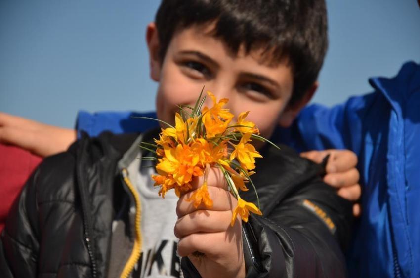 Resmen şifa deposu! Mucize bitkinin sırları ortaya çıktı, ilk kez oluyor