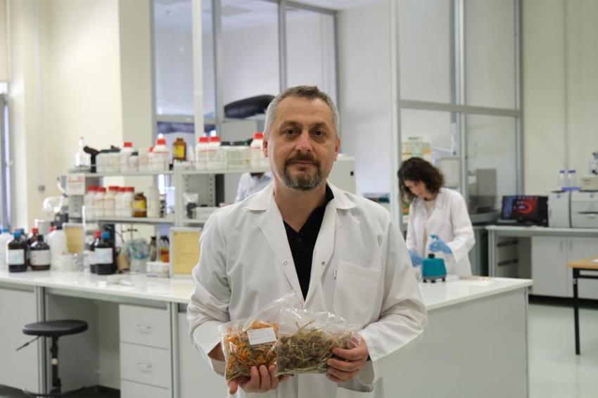 Resmen şifa deposu! Mucize bitkinin sırları ortaya çıktı, ilk kez oluyor