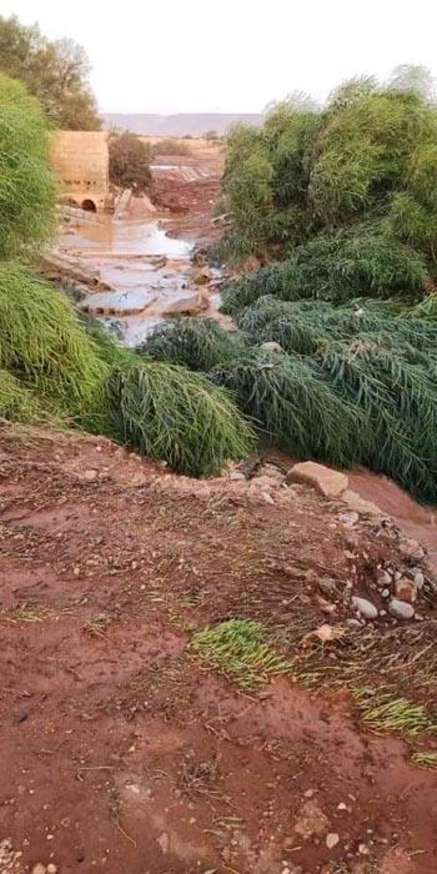 Libya’da Daniel Fırtınası sel felaketine neden oldu: 5 bin 300 kişi hayatını kaybetti 10 bin kayıp var
