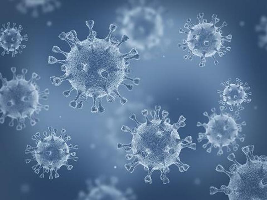 Nipah tehlikesi başladı, alarm seviyesine geçildi! Okullar ve bankalar kapatıldı, hayatını kaybedenler var