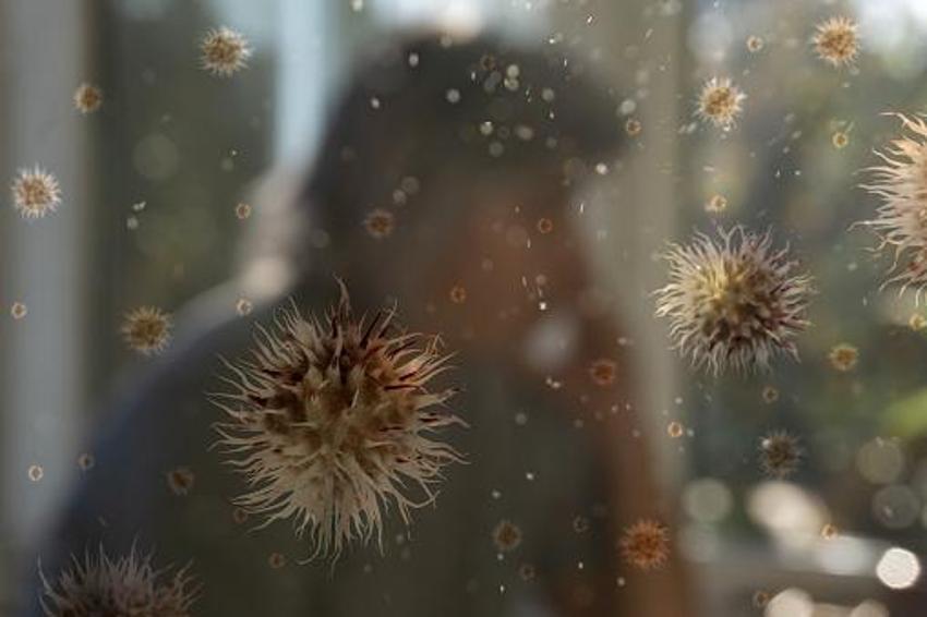 Nipah tehlikesi başladı, alarm seviyesine geçildi! Okullar ve bankalar kapatıldı, hayatını kaybedenler var