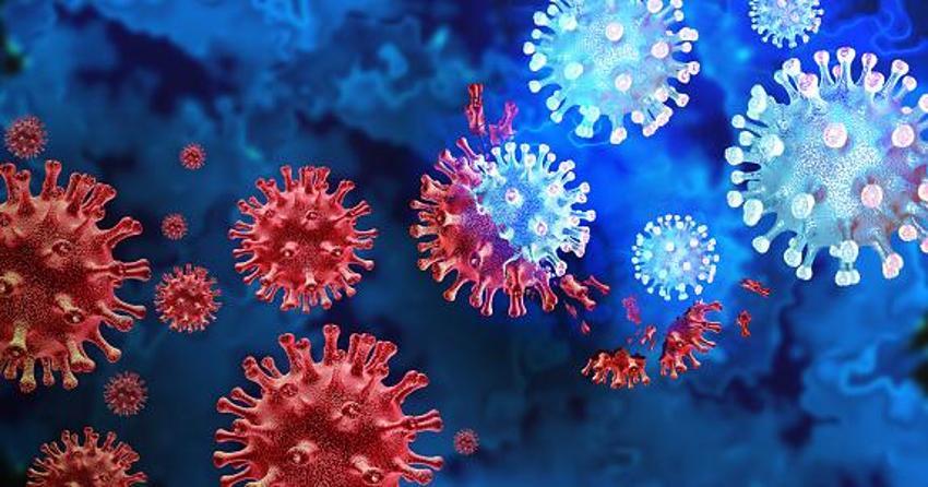 Nipah tehlikesi başladı, alarm seviyesine geçildi! Okullar ve bankalar kapatıldı, hayatını kaybedenler var
