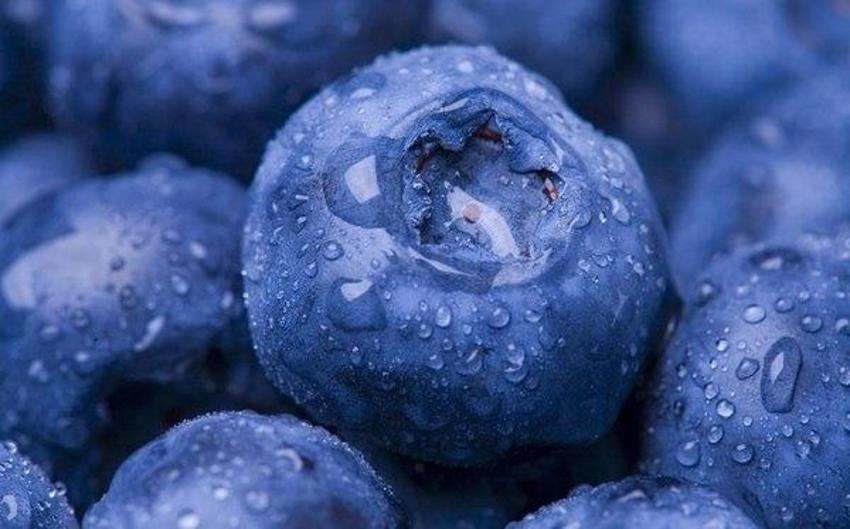 Beyniniz 24 saat işleyecek! Mutfakta bulunsun, bu besinlerle beyniniz sağlığına kavuşuyor