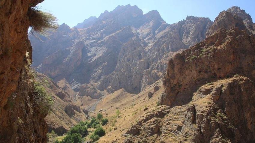 Hakkari'de Cilo Dağı'nın 3 bin rakımında çıkarıyor kilosunu 2 bin 500 TL’den satıyor!